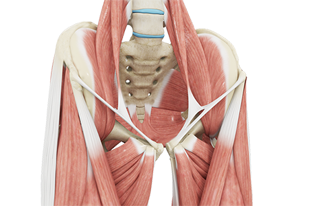 Hip Tendonitis