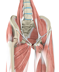 Muscle Strains